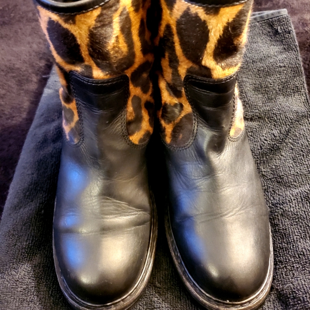 Giuseppe Zanotti's